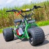 Mini Trike