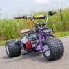 tgv mini trikes